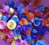 Colores para tu invitación digital según la estación del año